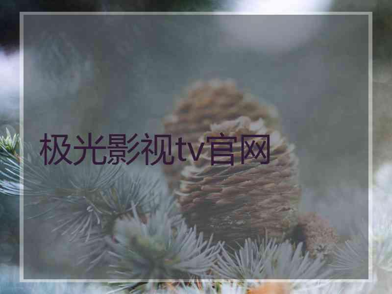 极光影视tv官网