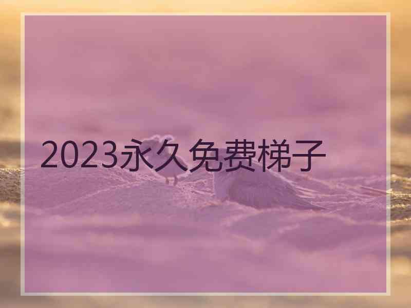 2023永久免费梯子