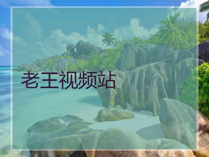 老王视频站