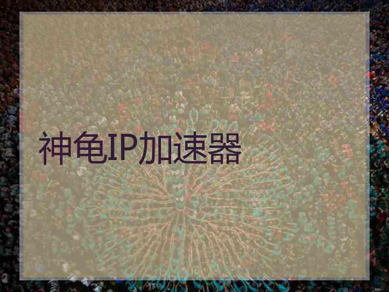 神龟IP加速器