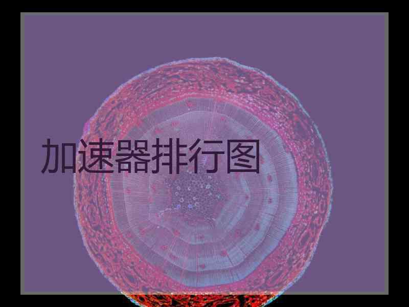 加速器排行图