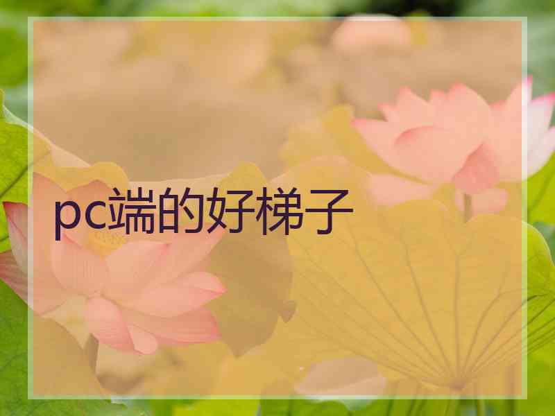 pc端的好梯子