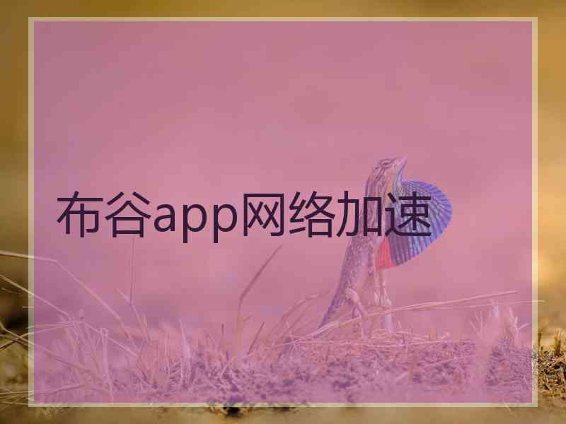 布谷app网络加速