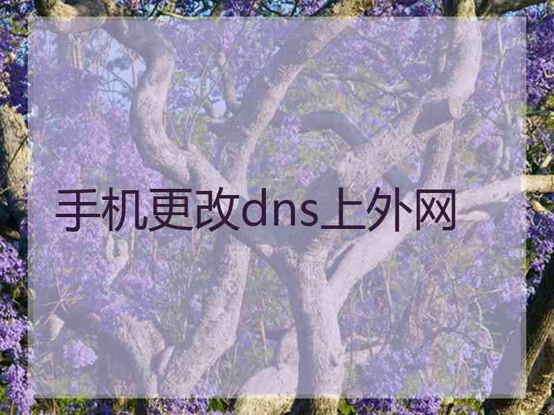 手机更改dns上外网