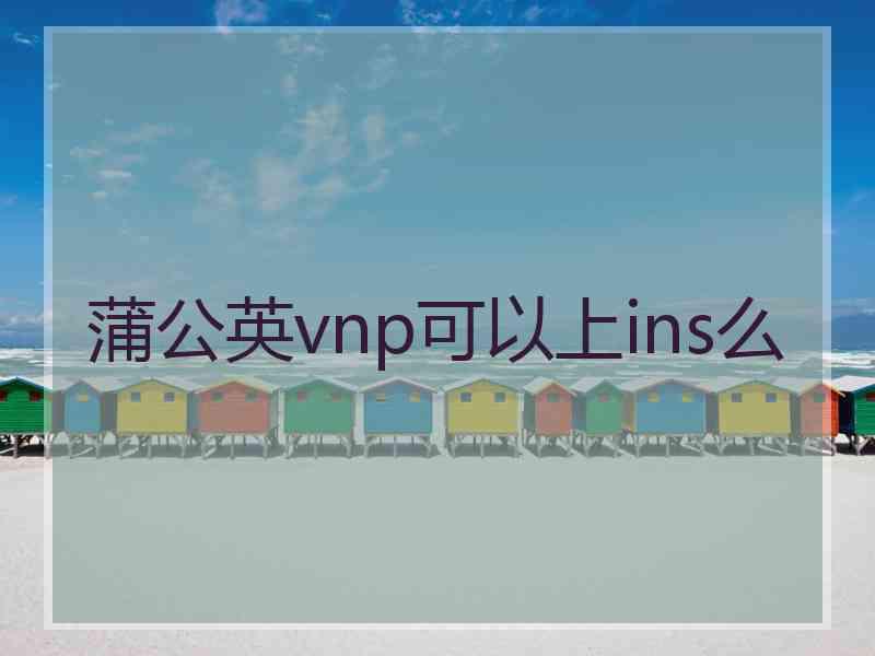蒲公英vnp可以上ins么