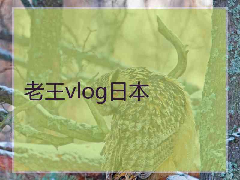 老王vlog日本