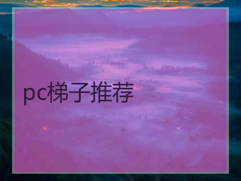 pc梯子推荐