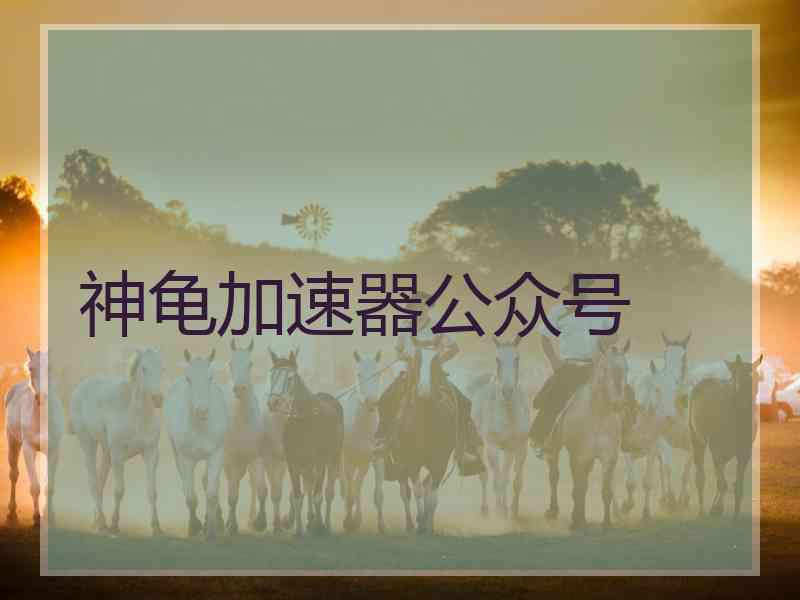 神龟加速器公众号