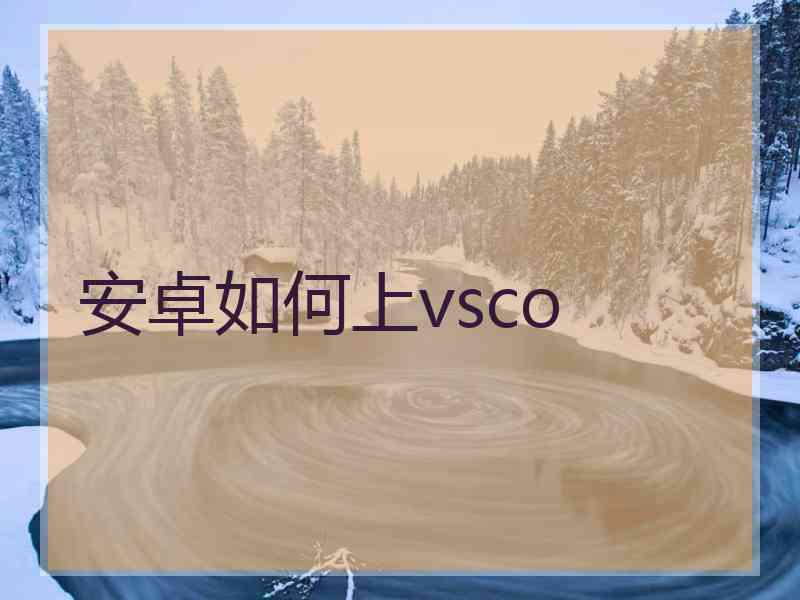安卓如何上vsco