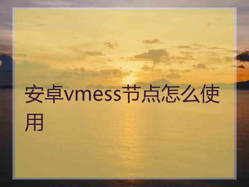 安卓vmess节点怎么使用