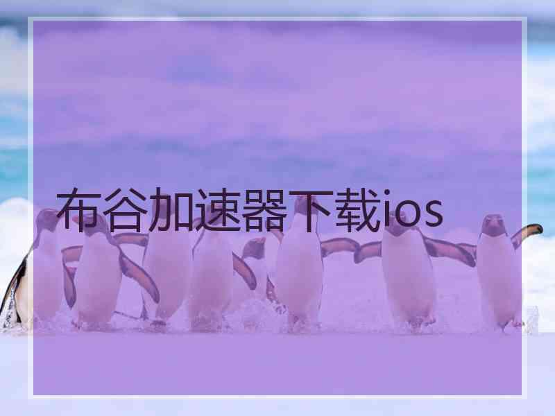 布谷加速器下载ios