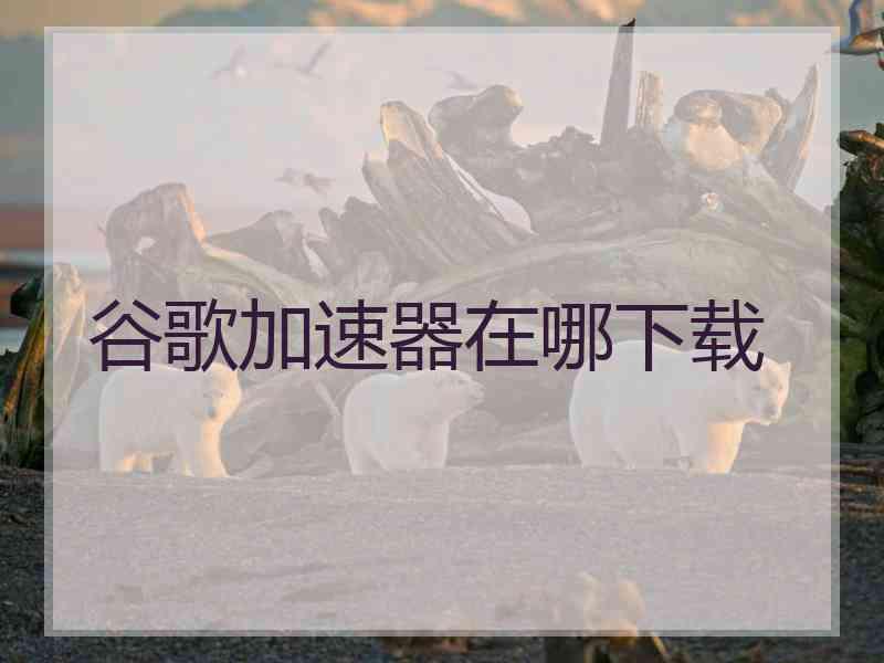 谷歌加速器在哪下载