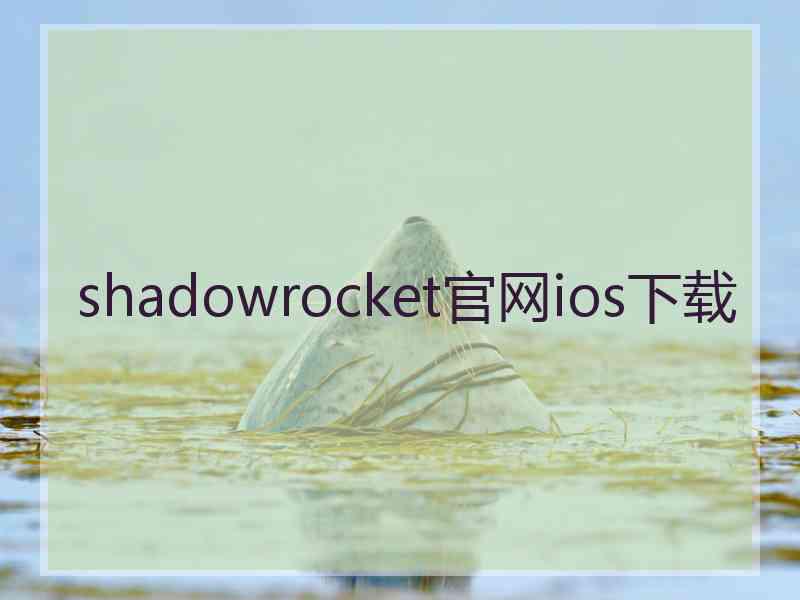 shadowrocket官网ios下载