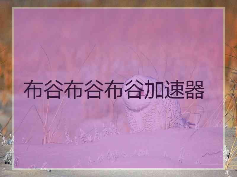布谷布谷布谷加速器
