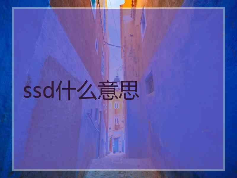ssd什么意思