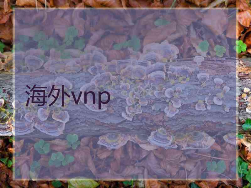 海外vnp