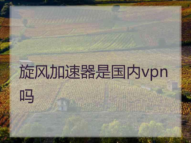 旋风加速器是国内vpn吗