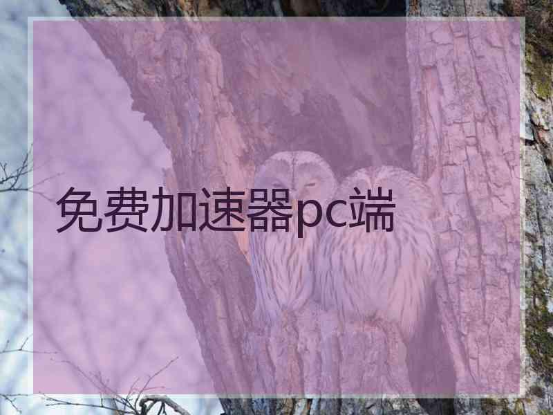 免费加速器pc端