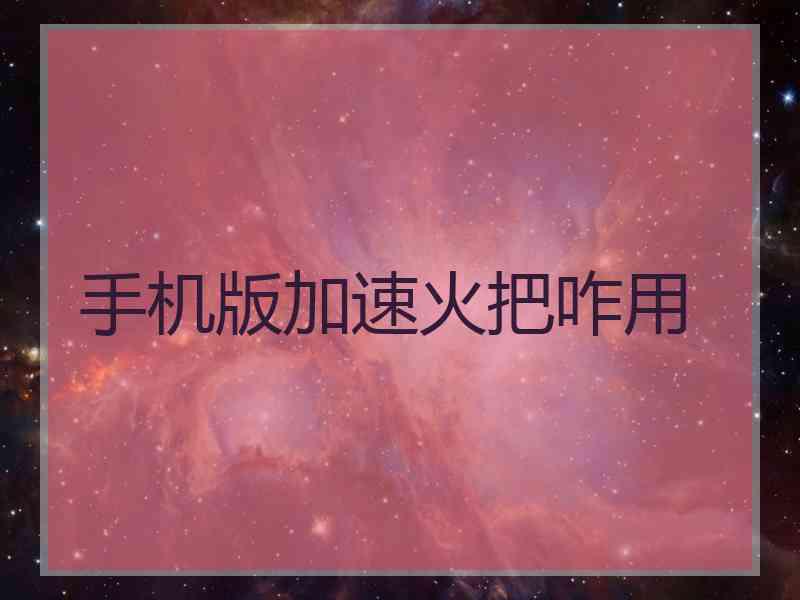 手机版加速火把咋用