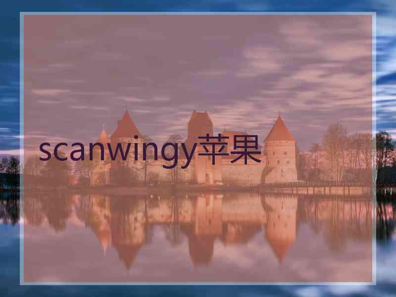 scanwingy苹果