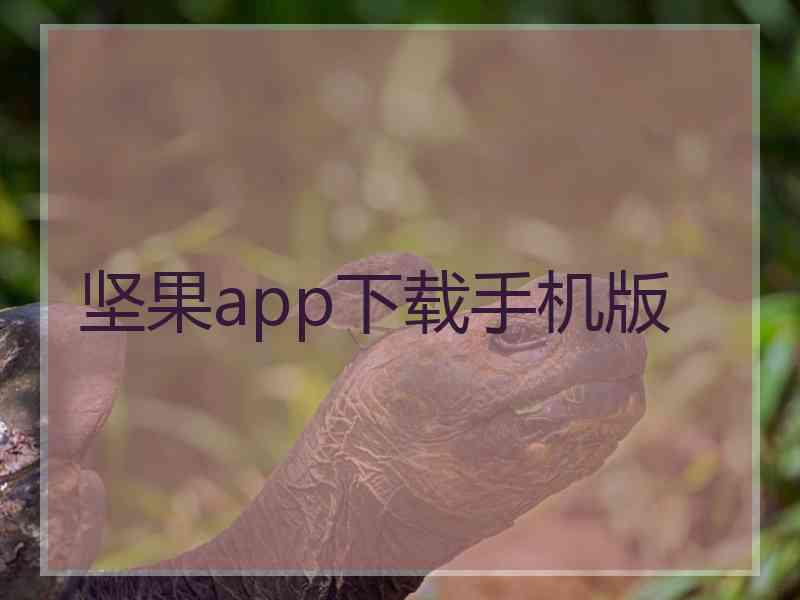坚果app下载手机版