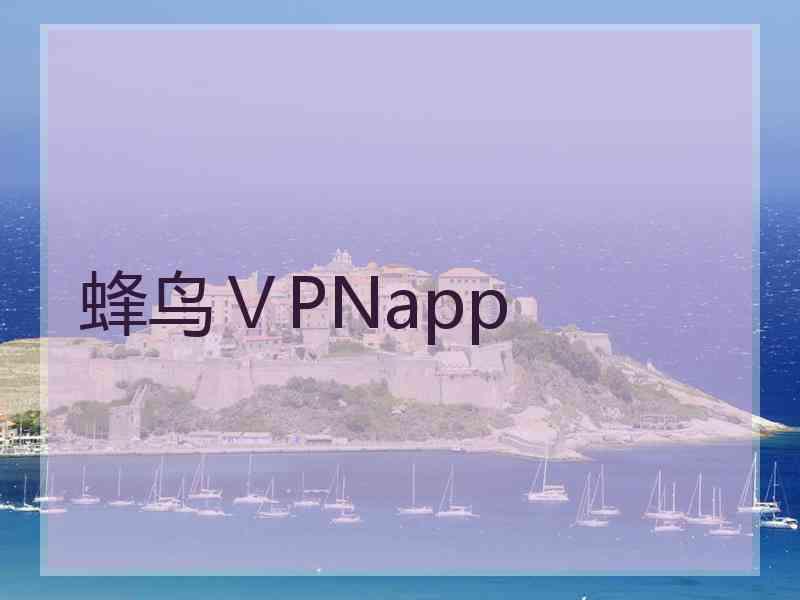 蜂鸟ⅤPNapp