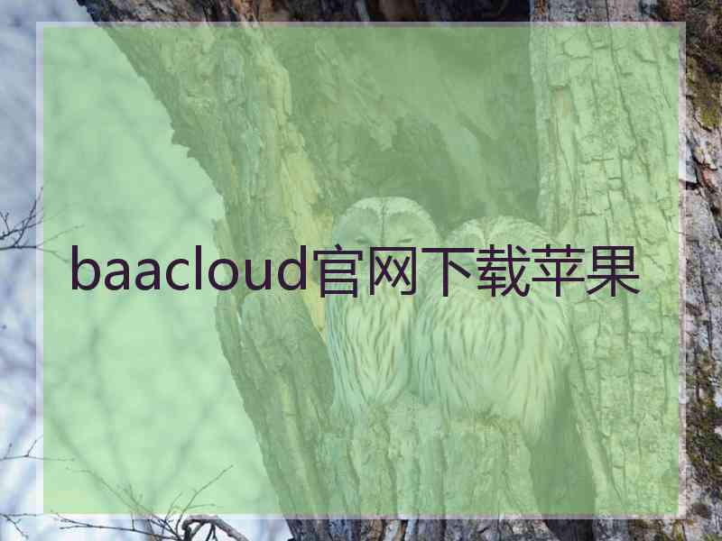 baacloud官网下载苹果