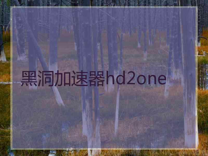 黑洞加速器hd2one