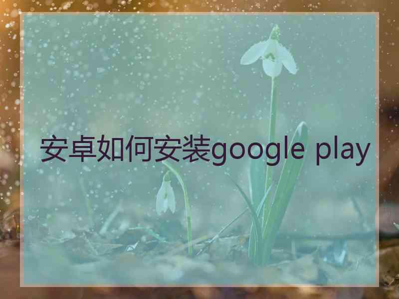 安卓如何安装google play