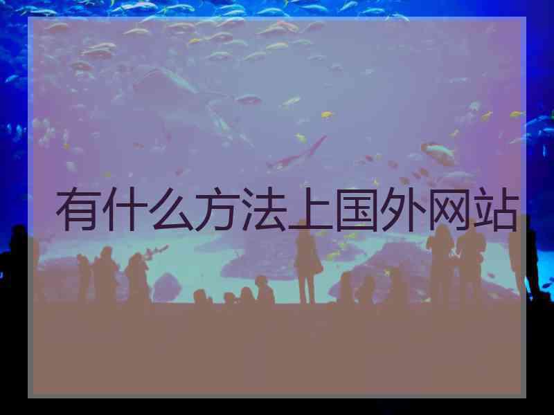 有什么方法上国外网站