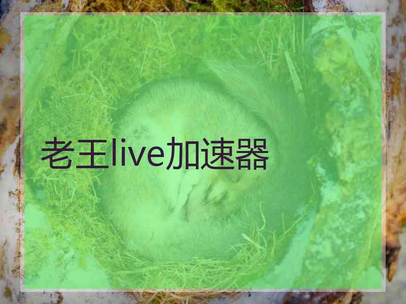 老王live加速器