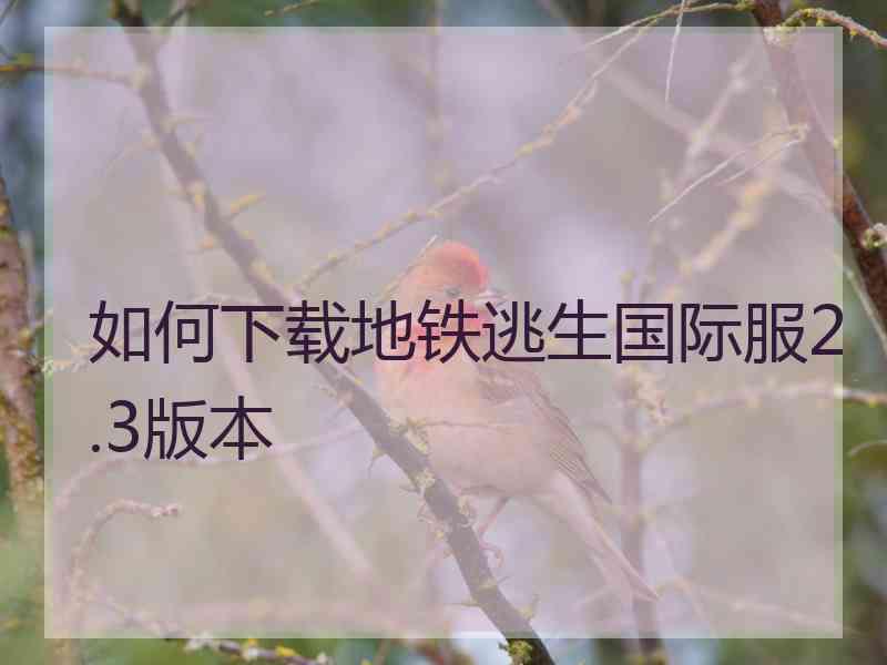 如何下载地铁逃生国际服2.3版本