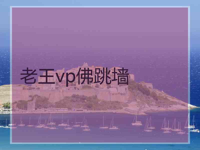 老王vp佛跳墙