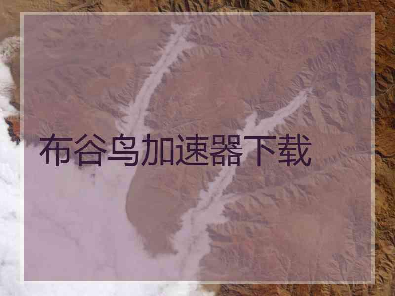 布谷鸟加速器下载