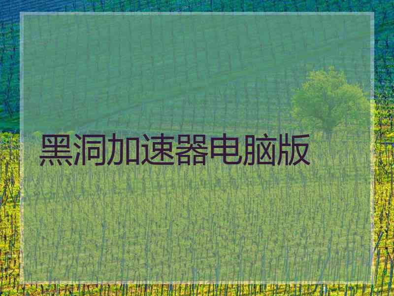 黑洞加速器电脑版