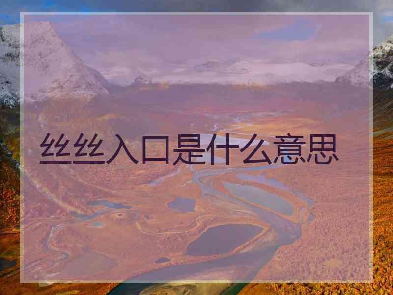 丝丝入口是什么意思