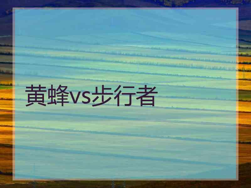 黄蜂vs步行者