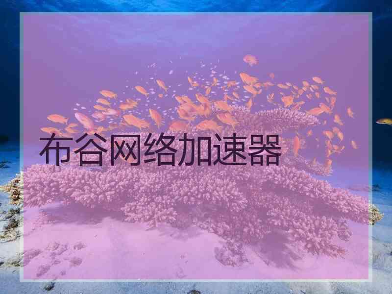 布谷网络加速器