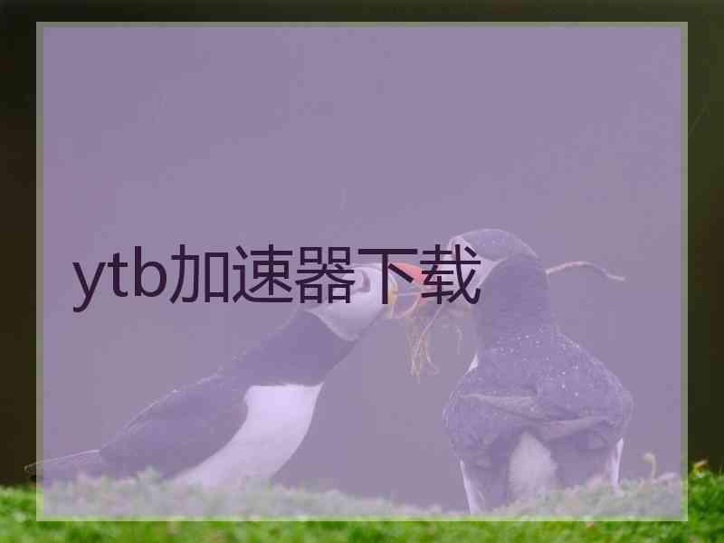 ytb加速器下载