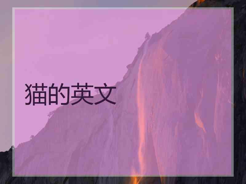 猫的英文