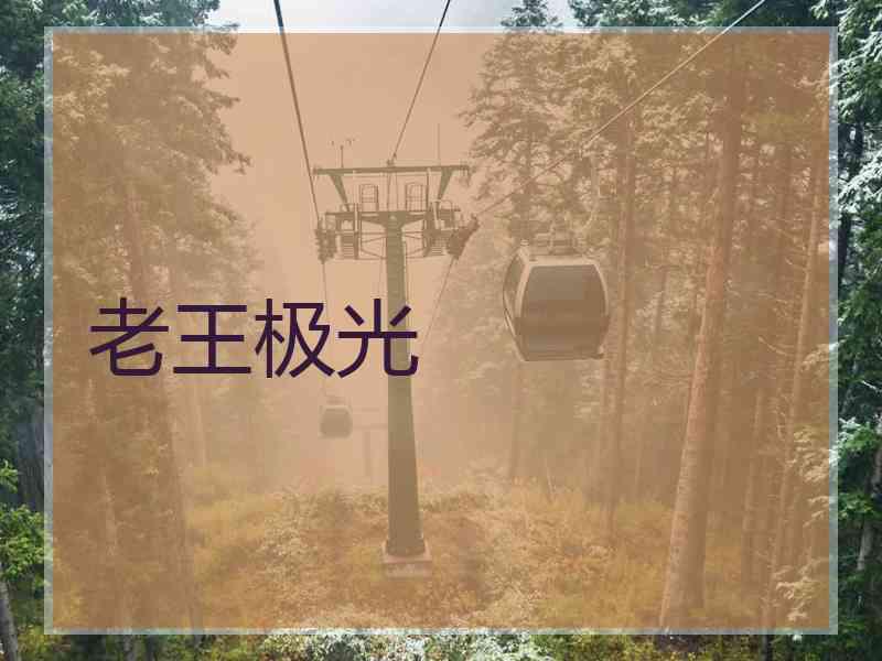 老王极光