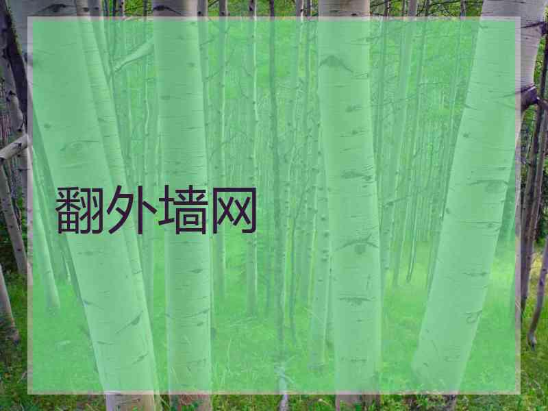 翻外墙网