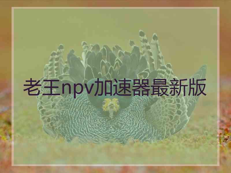 老王npv加速器最新版
