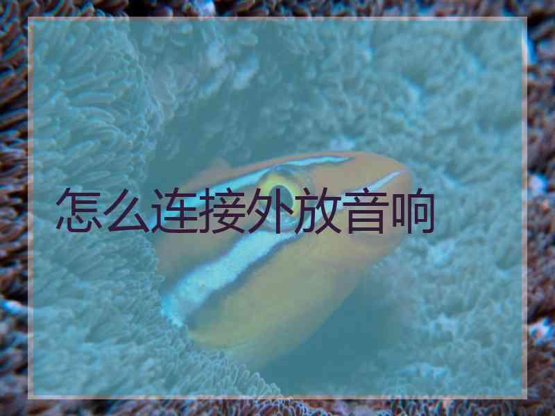 怎么连接外放音响