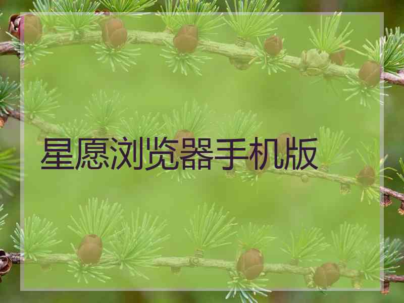 星愿浏览器手机版