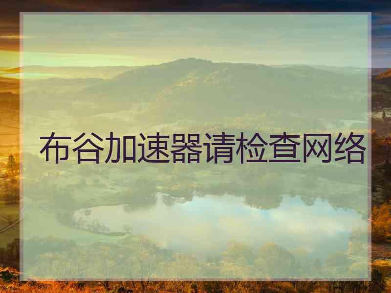 布谷加速器请检查网络