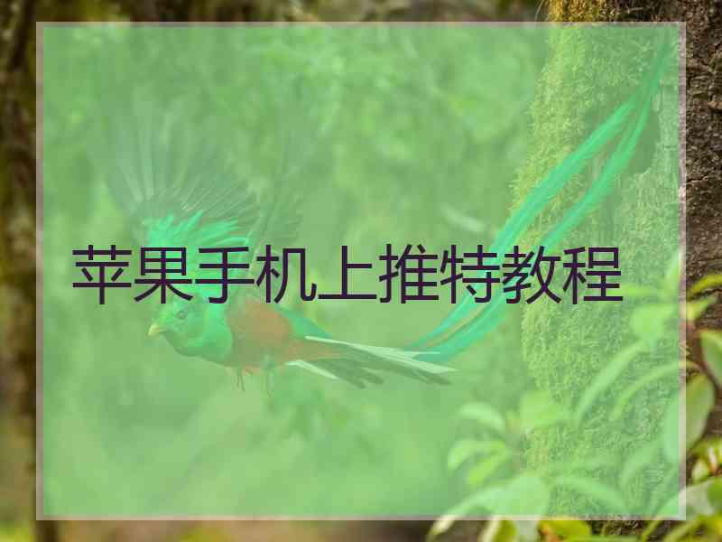 苹果手机上推特教程