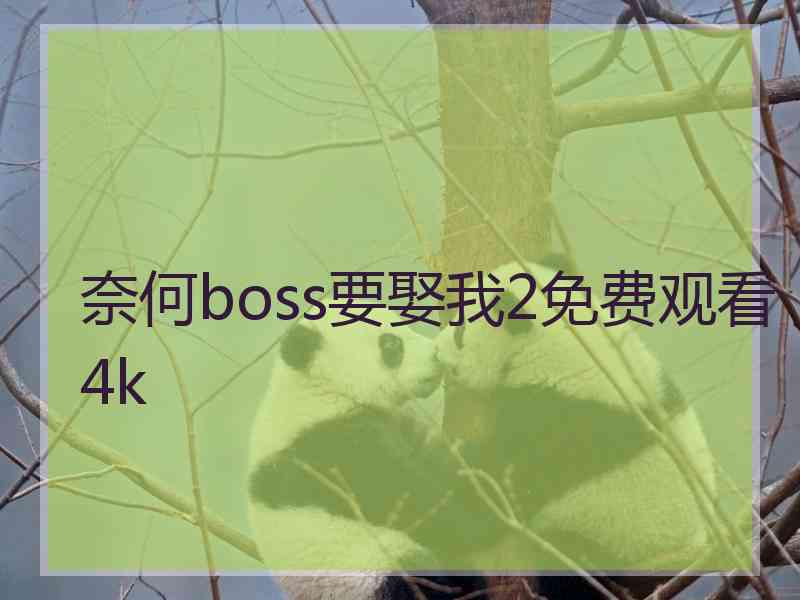 奈何boss要娶我2免费观看4k