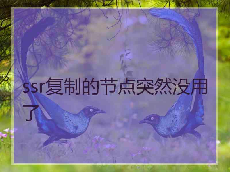 ssr复制的节点突然没用了