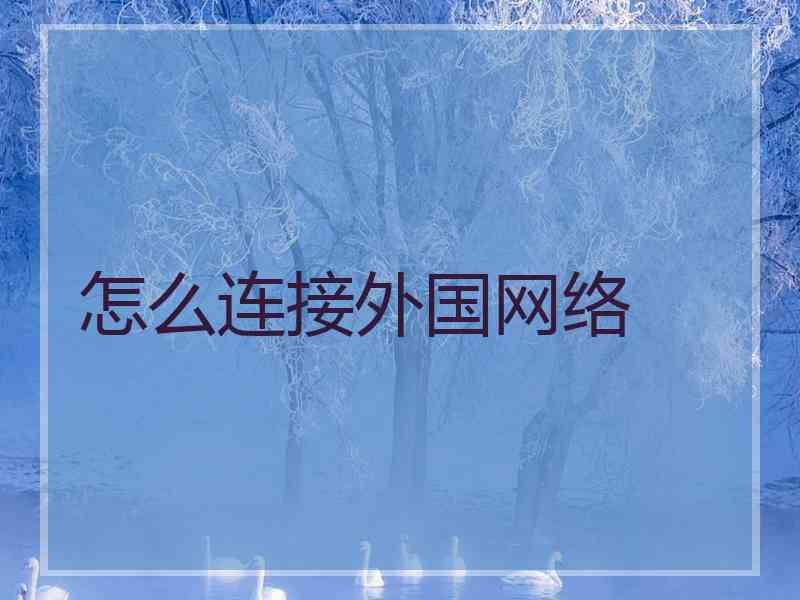 怎么连接外国网络